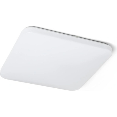 Rendl R12441