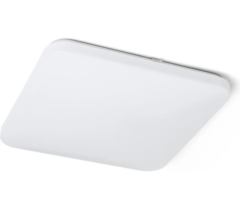 Rendl R12441