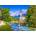 Enjoy - Puzzle Small Church in Ramsau, Germany - 1 000 piese