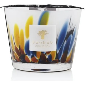 Baobab Collection Rainforest Mayumbe 10 cm
