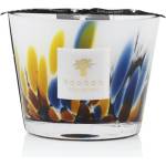 Baobab Collection Rainforest Mayumbe 10 cm