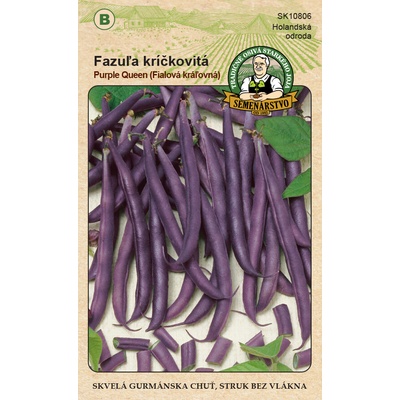 TRADIČNÉ OSIVÁ STARKÉHO JOJA TRADIČNÉ OSIVÁ Fazuľa kríčková PURPLE QUEEN 20g