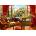 Bluebird Puzzle - Puzzle Davison: Study View - 1 000 piese