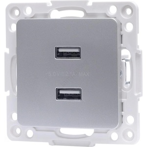 Aigostar - USB захранваща розетка без рамка 2x USB-A сребриста (AI2951)