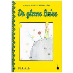 Dr gleene Brinz | Antoine de Saint Exupéry, Silvia Sachse (ISBN: 9783946190967)