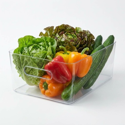 Smartstore Úložný box Compact L 41 x 28,7 x 15,5 cm 15,4 l 11090