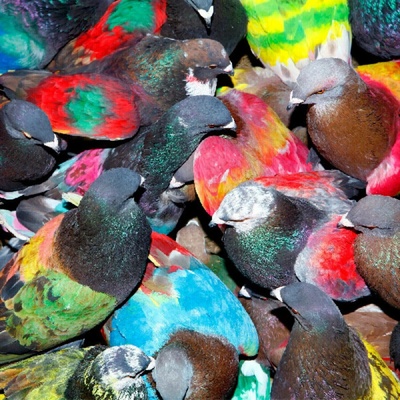 Blawan - SickElixir LP
