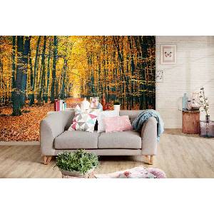 DIMEX ART Самозалепваща се флизелинова фототапета цветен есенен парк 375 x 250 см