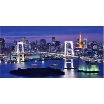 Foto obraz sklenený horizontálny Most v Tokio 100x50 cm