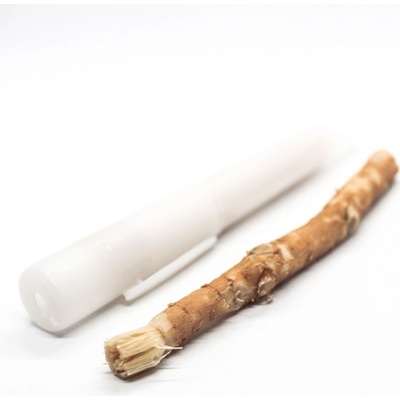 Siwak Miswak Prírodná zubná kefka s Cestovným puzdrom bez príchute 1 ks
