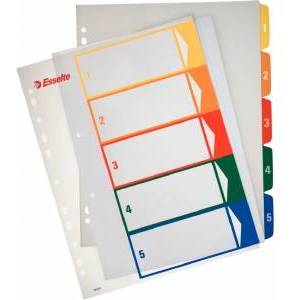 Esselte Maxi cardboard holders for printing A4 1-5 (100211)