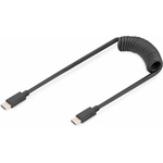 Roline Кабел ASSMANN AK-300431-006-S, от USB C(м) към USB C(м), спирала, 1m, 60W, черен (AK-300431-006-S)