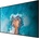 Hisense 55DM66D