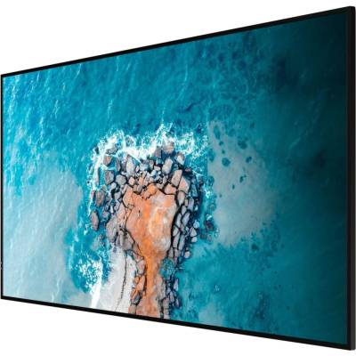 Hisense 55DM66D