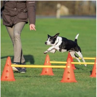 TRIXIE Prekážková dráha pre psa Dog Activity, súprava 3 častí