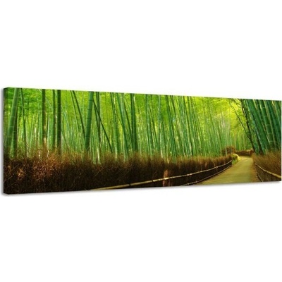 Obraz na plátne Panoráma, Bambus, 36x118cm