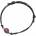 Nefertitis NF32930
