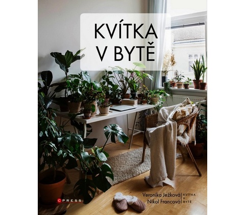 Kvítka v bytě