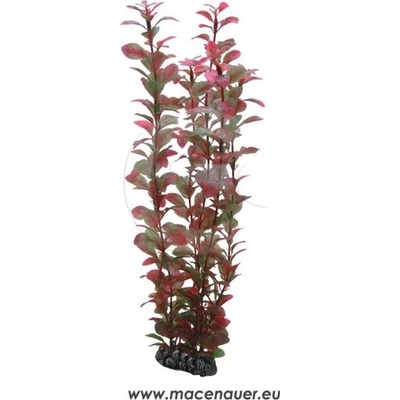 Hobby Ludwigia 34 cm