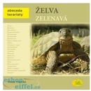 Želva zelenavá