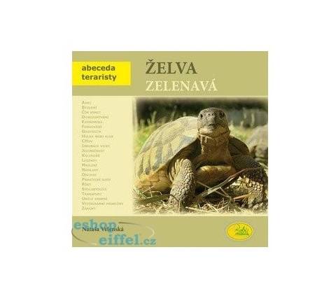 Želva zelenavá