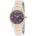 Michael Kors MK6072