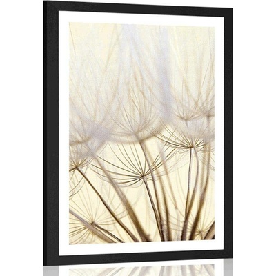 Plakát s paspartou pampelišková semena - 20x30 black