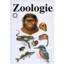 Zoologie