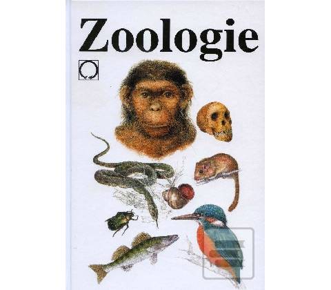 Zoologie
