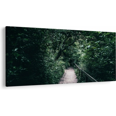 Obraz - Cesta lesom, jednodielne 200x100 cm