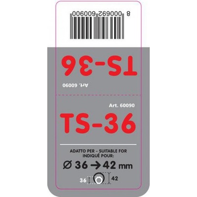 TS-36