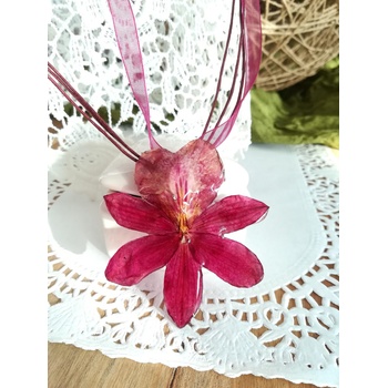 Meganflo Червена орхидея