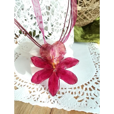 Meganflo Червена орхидея