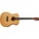 Tanglewood TR 3