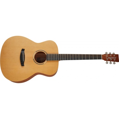 Tanglewood TR 3