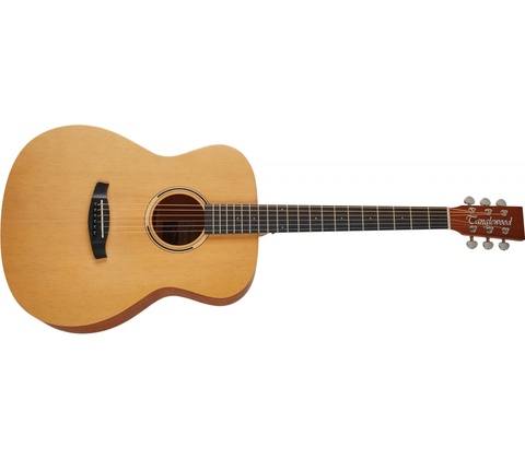 Tanglewood TR 3
