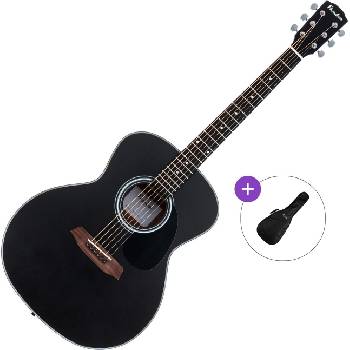 Pasadena PG-100 Basic SET Black Джъмбо китара