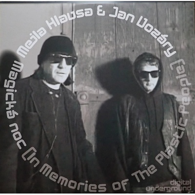 Milan "Mejla" Hlavsa, Jan Vozáry – Magická noc (In Memories of The Plastic People) LP