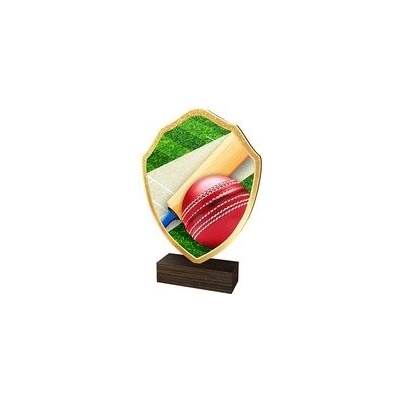 Poháry Bauer Dřevěná plaketa TFRW138 Cricket
