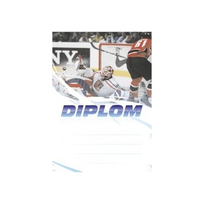Diplom 6608