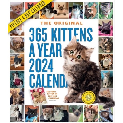 365 Kittens-A-Year Picture-A-Day Wall s Workman 2024