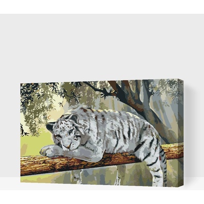 Vymalujsisam.cz Malování podle čísel Bílý tygr Velikost 40 x 60 cm Rámování Na kartonové desce