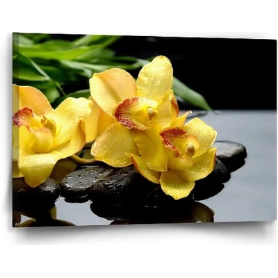 Sablio Obraz Žlté Orchidey - 60x40 cm