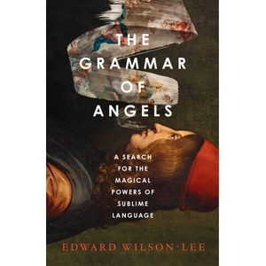 The Grammar of Angels (ISBN: 9780008621797)