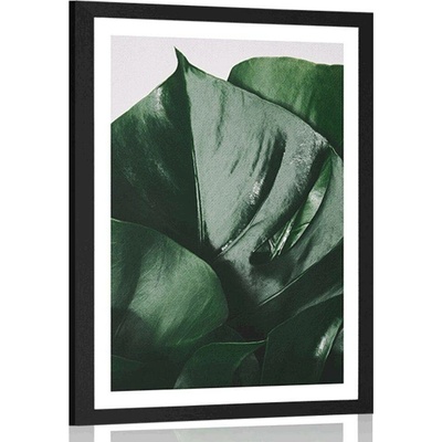 Plakát s paspartou dopis monstery - 20x30 white