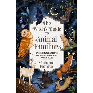 WITCHS GT ANIMAL FAMILIARS (ISBN: 9781401978815)