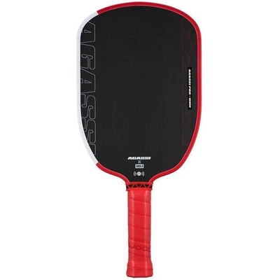 JOOLA Agassi Pro IV 16 Pickleball Paddle