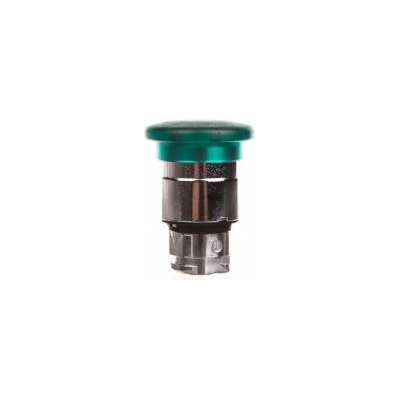 Schneider Header of the push button mushroom. O22 zat. avar. herb. O40 with same zint. led ZB4BW433