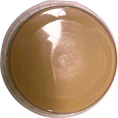 Debbex 00506RL Brousitelný tmel na dřevo 250 g dub