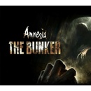 Amnesia: The Bunker